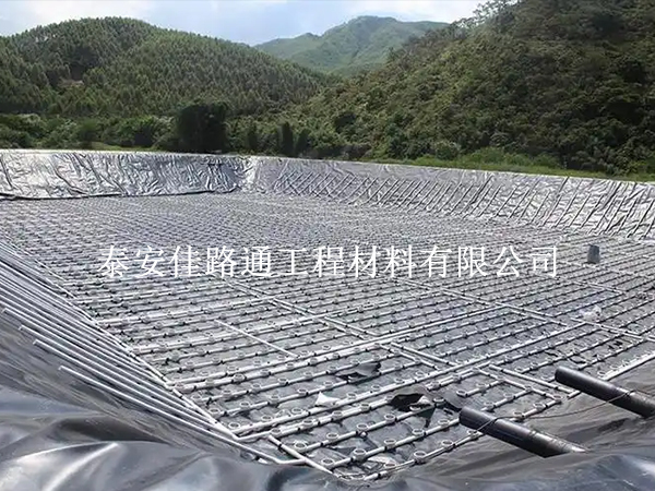 水產(chǎn)養(yǎng)殖新寵:防滲土工膜帶來革命性變革 水產(chǎn)養(yǎng)殖新寵:防滲土工膜帶來革命性變革